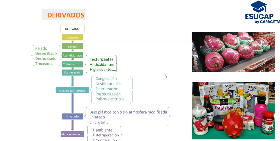 Producción industrial de la Pitahaya